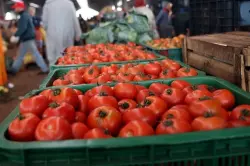 لهيب الأسعار يحرق جيوب المغاربة.. "مطيشة" تقفز إلى مستويات قياسية والمهنيون يحذرون