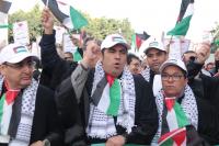 محامو المغرب: سنكون في الصفوف الأولى للدفاع عن القضية الفلسطينية