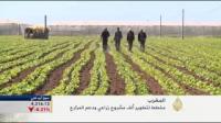 مخطط لتطوير ألف مشروع زراعي بالمغرب