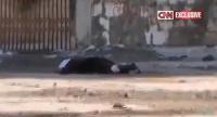 اشجع شاب سوري على الاطلاق شاهد ماذا فعل!