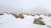صورة من الأرشيف