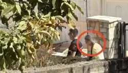 صدمة في اليونان.. سيدة تخفي وفاة والدتها لعامين من أجل المعاش