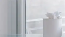 نبات صحراوي قد يغيّر صناعة المناديل الورقية