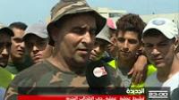 الجديدة .. جني الطحالب البحرية وإشكاليات التقنين