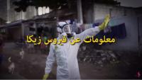 معلومات عن فيروس زيكا..!!