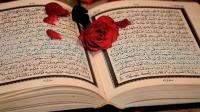 تعرف على شروط الزواج وفقًا لتعاليم الإسلام