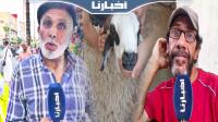 قبل ساعات من يوم العيد..مواطنون يشتكون غلاء الأضحية بوجدة