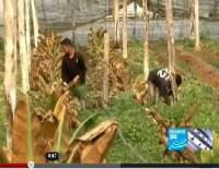 ظروف عصيبة بسبب برودة الطقس