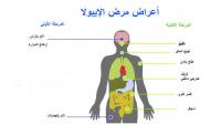 أعراض فيروس "ايبولا" و إرشادات للوقاية منه