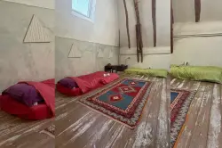 حجزوا منزلاً لقضاء عطلتهم في فرنسا.. فوجدوا مسبحاً أخضر وفأراً ميتاً داخل الغرف