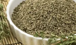 الزعتر... كنز قديم يثبت فعاليته من جديد في تحسين الهضم ومحاربة الالتهابات