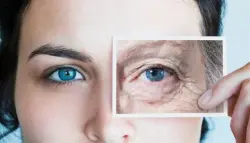 ثلاثة أنواع من خلايا الجلد الهرمة.. اكتشاف قد يغير علاجات الشيخوخة والسرطان