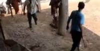 بالفيديو.. ثور ينتقم من شاب حاول ذبح آخر