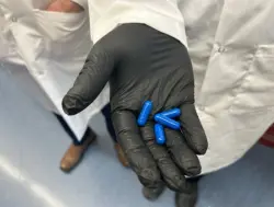 زرع الميكروبات: نهج مبتكر لتعزيز فعالية العلاج الكيميائي لسرطان البنكرياس