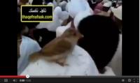 عصفور يستقر على رأس حاج ويطوف معه (فيديو)