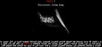 "جيش الدفاع الإسلامي" يُقرصن موقع مغربي يتّهمُه بالإباحية ونشر العُهـر