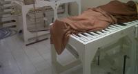 صادم .. زوج قتل زوجته بعد رفضها معاشرته!