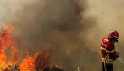 مقتل شخص وإجلاء 180 إثر حريق غابات قرب مدريد