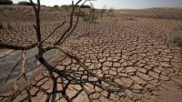 تراجع مهول في حقينة مجموعة من السدود وبعضها وصلت لـ 6 ٪ فقط