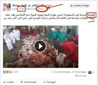 هل تقف اسرائيل وراء نشر " فيديو " أثار سخط العالم بسبب طريقة ذبح الأضاحي الوحشية بالحج ( الفيديو )
