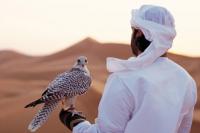 هكذا أطاحت إكرامية أمير خليجي بمسؤولين أمنيين بالبيضاء