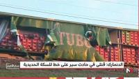 مقتل ستة أشخاص في حادث قطار بالدنمارك