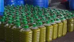 والي بنك المغرب يتساءل عن ارتفاع أسعار زيت الزيتون رغم وفرتها