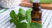 هل يعالج زيت النعناع تساقط الشعر؟