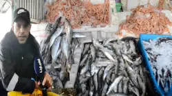 تجار السمك بطنجة: مكرهناش نبيعو الحوت للمواطن بثمن مناسب ولكن الله غالب