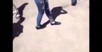 بالفيديو.. شاب حاول استعراض عضلاته أمام الفتيات فتعرض لموقف محرج