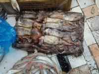 خطير وبالصور ... ضبط أطنان من الأسماك الفاسدة بآسفي والموجهة للاستهلاك
