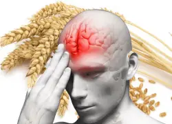 دراسة تربط بين استهلاك الغلوتين وزيادة خطر الاضطرابات النفسية