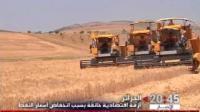 الجزائر :  أزمة اقتصادية خانقة بسبب انخفاض أسعار النفط