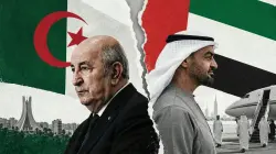 مستشار رئيس دولة الإمارات يفحم الجزائر برد ناري.. "الدول لا تبني مكانتها بالضجيج والمزايدات"