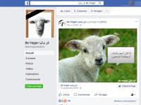 "كن نباتي" شعار أطلقه مغاربة نباتيون لمقاطعة لحوم الأضاحي