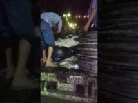 بذخ حفل زفاف في السعودية وإلقاء الطعام في القمامة