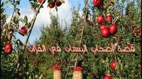 قصة "أصحاب البستان" في القرآن الكريم