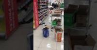 أسماك حية تسبح في أرضية متجر (فيديو)