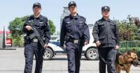 الحكم بالإعدام على سائق سيارة قتل 15 شخصا دهسا وسط الصين