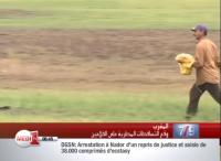الفلاحون الصغار يستبشرون خيرا بالتساقطات المطرية