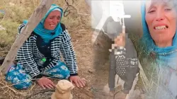 حقوقيون يطالبون بكشف ملابسات وفاة راعي الغنم الصغير "محمدينو" وفك الغموض المحيط بالقضية