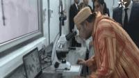 الملك يدشن مزرعة لصغار الصدفيات “أزورا أكواكولتور” بإقليم وادي الذهب
