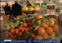 بركان وانتاج الحوامض على الجزيرة