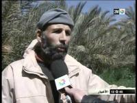 الفلاحة بالجهة الشرقية