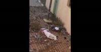 بالفيديو.. نهاية مؤلمة لطالب حاول الهرب قفزا من سور المدرسة