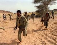 جبهة البوليساريو محرك الارهاب القادم بافريقيا 