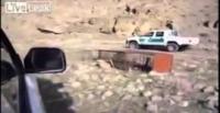 بالفيديو.. «نمر» ينقض على «سعودي» بمنطقة جبلية ويقتله