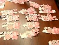 بالفيديو ...نمل يحول ثروة سيدة صينية إلى فتات