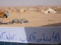 مطالبة بان كيمون بالكشف عن حقيقة قراره بشأن الدفاع عن حقوق الانسان بالصحراء المغربية عوض تندوف