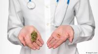 تناول الحشيش صار متاحا في ألمانيا بشروط